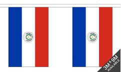Paraguay Buntings